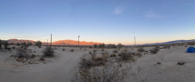 Joshua Tree