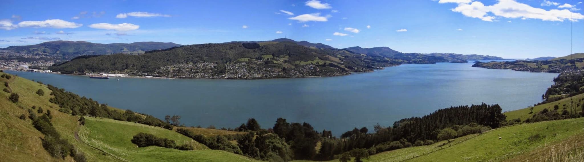 New Zealand Sheep Farm